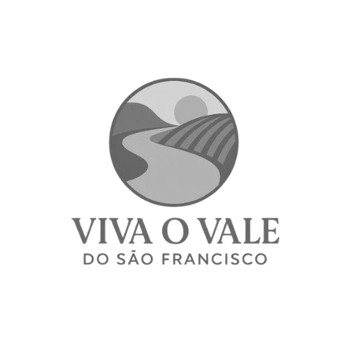 viva client logo - Artu Grande UX design Web3 fintech project portfolio